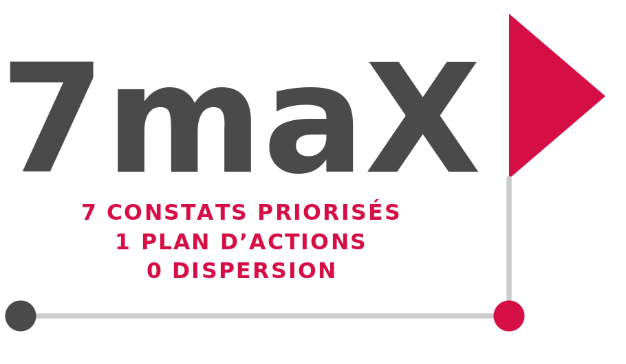 Logo 7maX détail